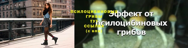 таблы Верея
