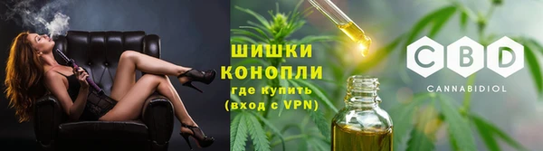 прущие грибы Нягань